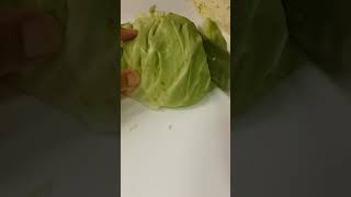 Cabbage Asmr Sound #amazingcutting #satisfyingcutting #cabbage #shorts #viralvideo