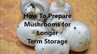 How to Prepare Mushrooms For Longer Term Storage