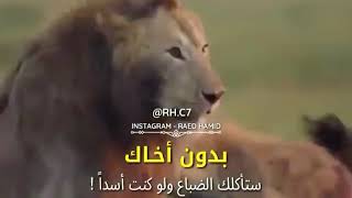 الاخ