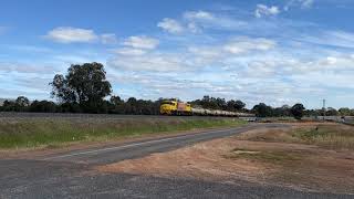 IMG 9151 DBZ2311 1924 caustic train to Wagerup Collie River  Roelands 24/9/23. Video: Phil Melling.