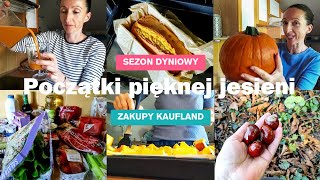 Zaczynam sezon dyniowy | Mus | Ciasto | Zakupy spożywcze | Vlog