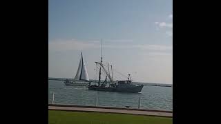 sailboat watching at the Lawrence Street tee head #3