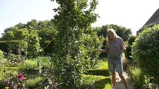 Summer Gardening Hacks:  PRUNING