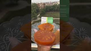 Wood Apple Sweet Urdu/Hindi | Wood Apple Murabba Benefits | Bael Giri ka Murabba | بیل گری کا مربہ