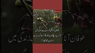 Urdu Ahadees Shorts||islamic Duas||Shorts Video||Islamic Messages||islamic Pearls||Viral