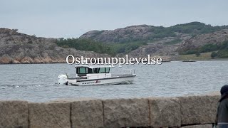 Ostronupplevelse