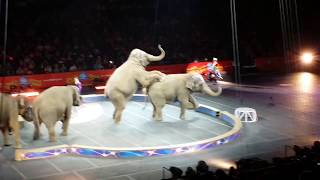 Ringling Bro Circus Final Shows, Legends 3/9