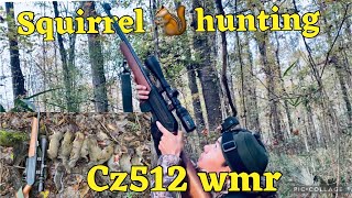 GA WINTER SQUIRREL 🐿️ HUNTING || Cz 512 .22  wmr