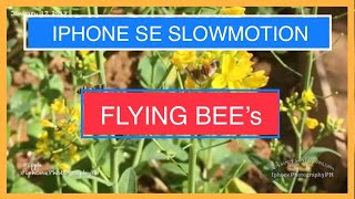 IPHONE SE SLOW MOTION VIDEO 240fps in 720HD