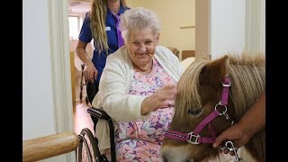 Rescue animals bring joy to aged care residents