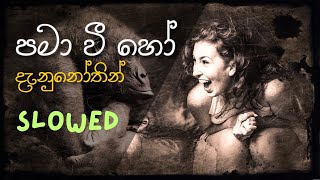 Pamawee Ho Danunothin | පමා වී හෝ දැනුනොතින් | Sinhala Slowed and Reverb #newmusic #newsinhalasongs