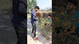 DUKAN TOD DI YAR 😂 #funny #viral #shorts #short #trending #comedy #shortvideo