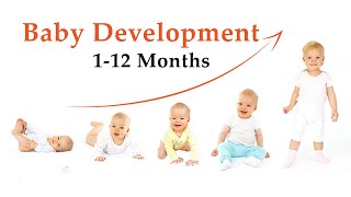 Baby Month by Month Development | Weight and Height | 1 to 12 Month