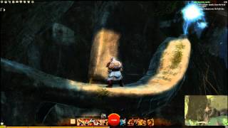 GW2 Puzzle Achievement - Conundrum Cubed - Mount Maelstrum Tutorial - Norn