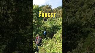 Pintu Rimba ‼️Hutan amazon nya Kab. Cilacap (quote fiersa bersari)