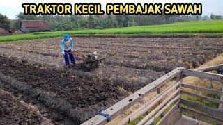 Traktor Kecil Pembajak Sawah Untuk Ditanami Bawang Merah