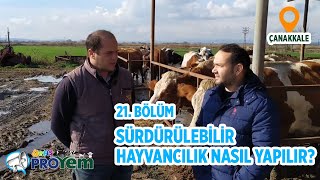 Sürdürülebilir bir hayvancılık nasıl yapılır? - Yetiş Proyem 21. Bölüm