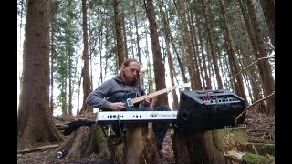 Tall Trees |  synthesiser drones, ambient guitar and birdsong in a longform forest improvisation :)