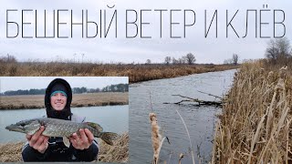 Рыбалка в бешеный ветер. Щука клюёт как дурная. Эмоциональное видео.