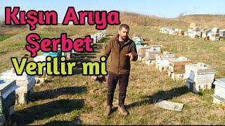 Kışın Arıya şerbet  | Şurup ve Kek verilir mi detaylı anlatım ne fayda