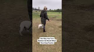 The Way You Turn Matters #dog #training #shorts