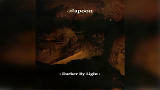 Rapoon - Lies And Propaganda