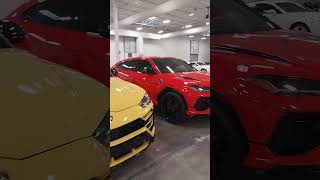 Lamborghini Urus Lineup at Tactical Fleet Dallas