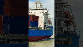 Container ship of COSCO SHIPPING #ship #vessel #containership