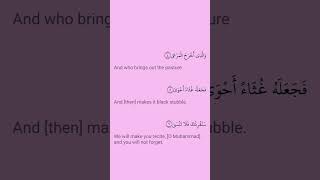 Surah al ala |Surah al ala beautiful Recitation |Quran Recitation|Quran beautiful Recitation #shorts