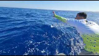 سكيب جاك تونه جر ٤٣ Skipjack Tuna Trolling Feb 2021 Sea Masters Boat We Caught 43 Tunas in 4 hours