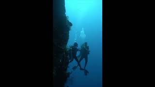 Diving di Tebing I Ndulubas Point I Banggai Kepulauan