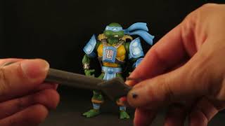 MOTU Turtles of Grayskull Leonardo