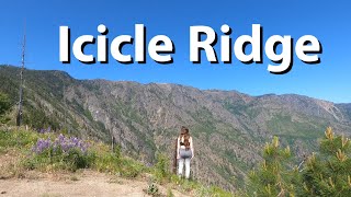 Hiking Icicle Ridge - Wildflowers and Mountain views!