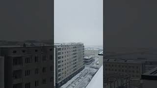 Снег. -5° холодная.