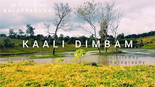 KAALI DIMBAM | SATHYAMANGALAM TIGER RESERVE vlog | WWF | TRIBALS | #BALAPPADUGAI #SHORTS #INDIA