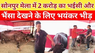 सोनपुर मेला में 2 करोड़ का भईसी और भैंसा देखने के लिए भयंकर भीड़ || Sonpur mela Buffalo Bazar