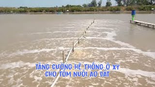 Tăng cường ô xy cho tôm lớn | Nuôi tôm ao đất