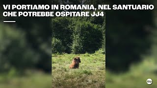 Vi portiamo in Romania, nel santuario che potrebbe accogliere JJ4