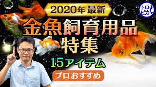 【2020年最新】金魚飼育用品特集！プロがおすすめする全15アイテム！