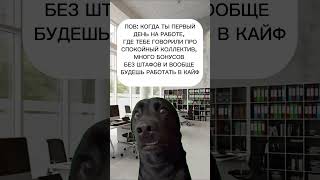 А с нами работать только в кайф! Нам нужны люди на удаленную работу ♥️ #вакансии #работа