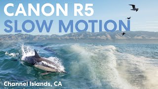 Boating to the Channel Islands | Canon R5 Slow Motion Test (4K 120fps)