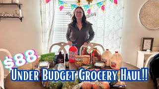 Weekly Grocery Haul ✨Under Budget✨