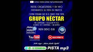 (D.R) GRUPO NECTAR - REMIX CAMPESINA - ESCUCHA MI VOZ - SORBITO DE CHAMPANG - SIN RUMBO