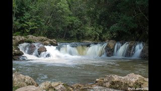 Trilha Manacás nível Iniciante-médio Selvasp Parque de Aventuras em Marsilac