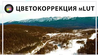 Быстрая цветокоррекция видео в Final Cut Pro с mLUT + эффект кино [Бесплатные уроки видеомонтажа]