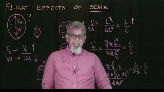 Effects Of Scale on Buoyant Flight