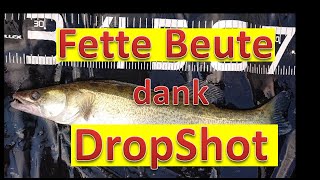 Dropshot Montage - Das Tutorial - Schnell und einfach auf Barsch und Zander