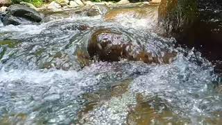 Healing Rivers Sound| Nature Sound | Healing | Nature