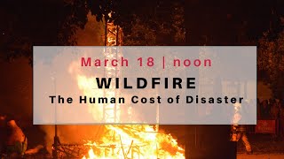 Wildfire – the Human Cost of Disaster