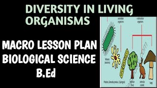 Biological science macro lesson plan on topic Diversityin livingorganisms B.Ed| lesson plan biology